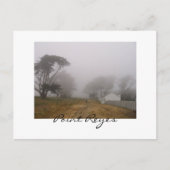 Briefkaart Foggy Point Reyes (Voorkant)