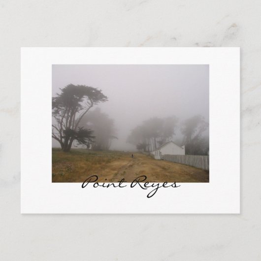 Briefkaart Foggy Point Reyes (Voorkant)