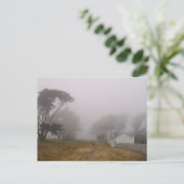Briefkaart Foggy Point Reyes (Staand voorkant)