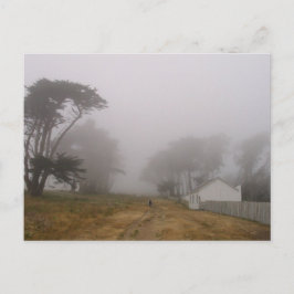 Briefkaart Foggy Point Reyes
