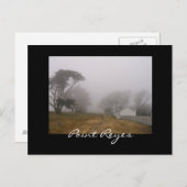 Briefkaart Foggy Point Reyes (Voorkant / Achterkant)