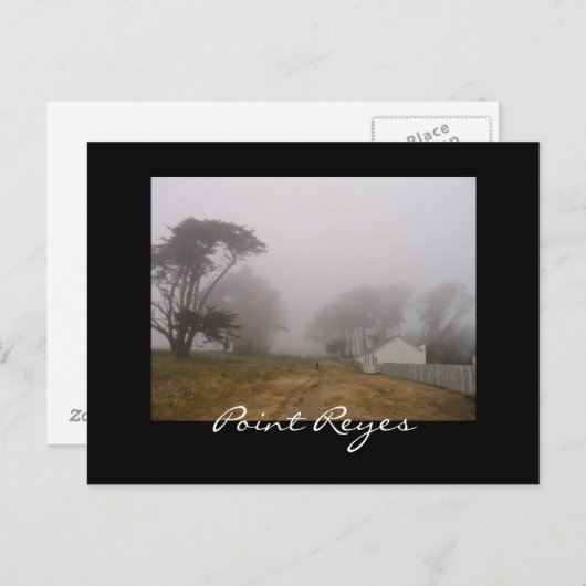 Briefkaart Foggy Point Reyes (Voorkant / Achterkant)