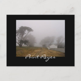 Briefkaart Foggy Point Reyes