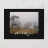 Briefkaart Foggy Point Reyes (Voorkant)