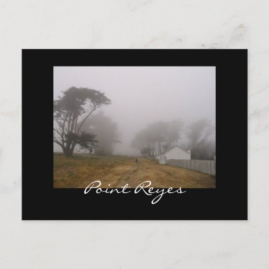 Briefkaart Foggy Point Reyes (Voorkant)