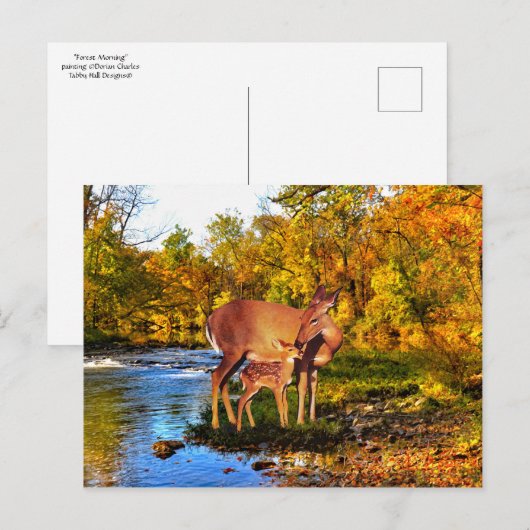 briefkaart "Forest Morning" (Voorkant / Achterkant)