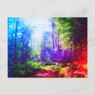 BRIEFKAART FOREST RAINBOW
