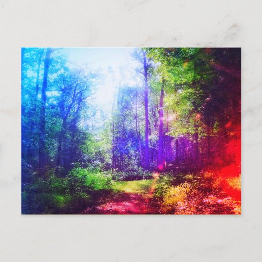 BRIEFKAART FOREST RAINBOW (Voorkant)
