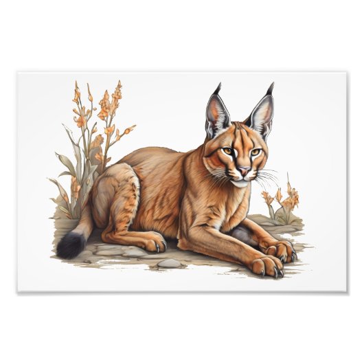 Briefkaart Foto Afdruk (Voorkant)