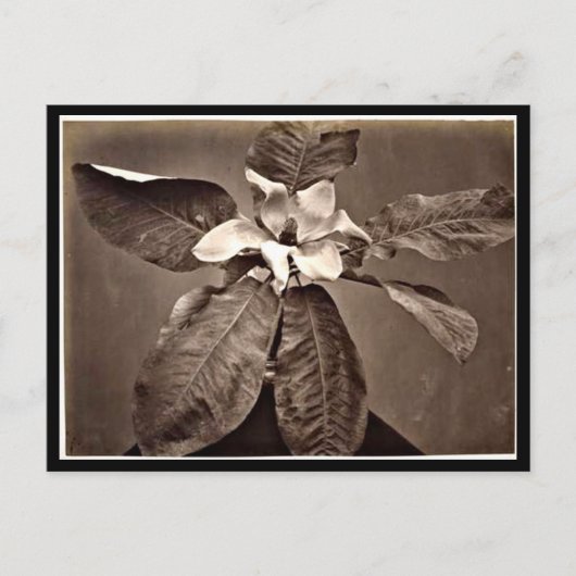 Briefkaart- fotografie-Charles Aubry 24 Briefkaart (Voorkant)