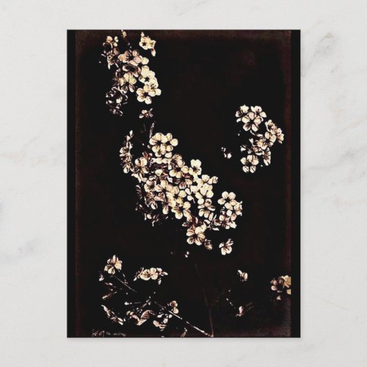 Briefkaart- fotografie-Charles Aubry 27 Briefkaart (Voorkant)