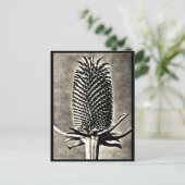 Briefkaart- Fotografie-Karl Blossfeldt 19 Briefkaart (Staand voorkant)