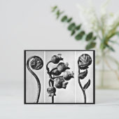 Briefkaart- Fotografie-Karl Blossfeldt 28 Briefkaart (Staand voorkant)