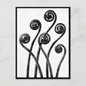 Briefkaart- fotografie-Karl Blossfeldt 8 Briefkaart (Voorkant)