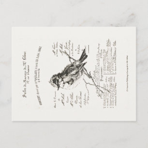 Briefkaart Frans Music Salon Bird Script