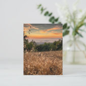 Briefkaart - Fremont Peak State Park, Californië (Staand voorkant)