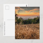 Briefkaart - Fremont Peak State Park, Californië (Voorkant / Achterkant)