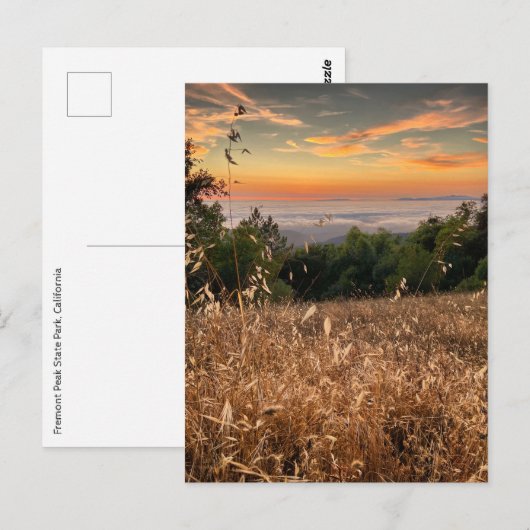 Briefkaart - Fremont Peak State Park, Californië (Voorkant / Achterkant)