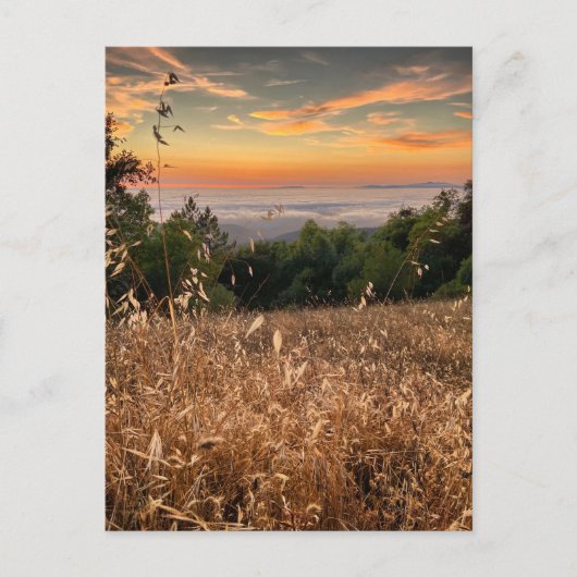 Briefkaart - Fremont Peak State Park, Californië (Voorkant)