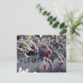 Briefkaart Frosted Berries (Staand voorkant)