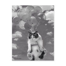 Briefkaart: Funny cat vliegt met ballonnen