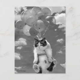 Briefkaart: Funny cat vliegt met ballonnen Briefkaart