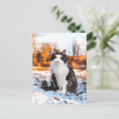 briefkaart "Fuzzer" (Staand voorkant)