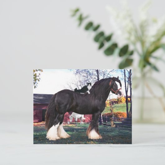 briefkaart "Fuzzer Rides Opnieuw" (Staand voorkant)