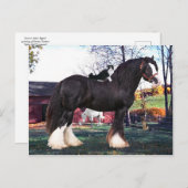 briefkaart "Fuzzer Rides Opnieuw" (Voorkant / Achterkant)