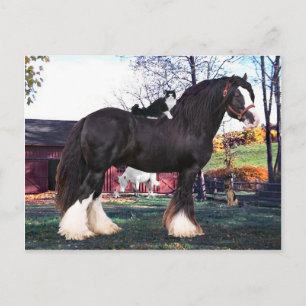 briefkaart "Fuzzer Rides Opnieuw"