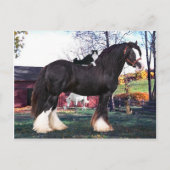 briefkaart "Fuzzer Rides Opnieuw" (Voorkant)