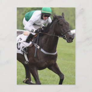 Briefkaart Galloping Race Horse