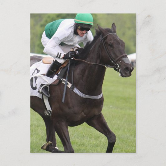 Briefkaart Galloping Race Horse (Voorkant)
