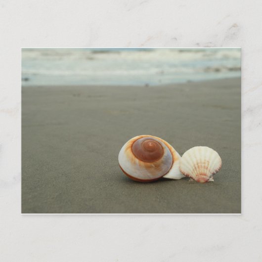 Briefkaart Galveston Island (Voorkant)