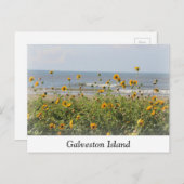 Briefkaart Galveston Island Beach Flowers (Voorkant / Achterkant)