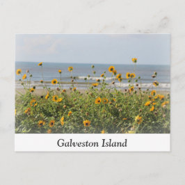 Briefkaart Galveston Island Beach Flowers