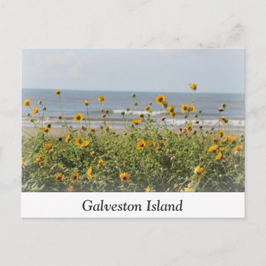 Briefkaart Galveston Island Beach Flowers (Voorkant)