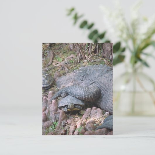 briefkaart "Gator Hugs" (Staand voorkant)