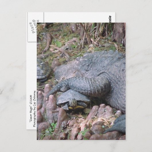 briefkaart "Gator Hugs" (Voorkant / Achterkant)