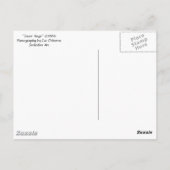 briefkaart "Gator Hugs" (Achterkant)