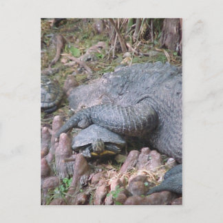 briefkaart "Gator Hugs"
