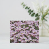 Briefkaart - Gebied van de Roze Bloemen (Staand voorkant)