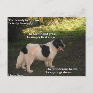 Briefkaart Gedicht Any Dogs Dream van Ladee Basset