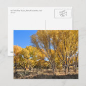 Briefkaart: geel katoenwoud briefkaart (Voorkant / Achterkant)