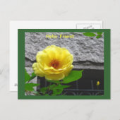 Briefkaart GEEL VERSE VRIENDSCHAP (Voorkant / Achterkant)