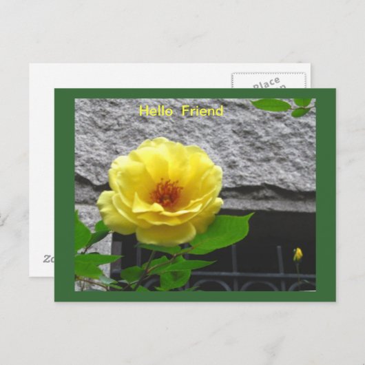 Briefkaart GEEL VERSE VRIENDSCHAP (Voorkant / Achterkant)