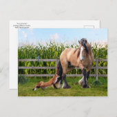 briefkaart "Geheime vrienden" (Voorkant / Achterkant)