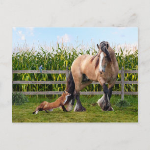 briefkaart "Geheime vrienden"