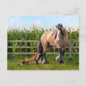 briefkaart "Geheime vrienden" (Voorkant)