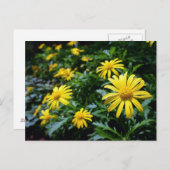 Briefkaart Gele bloemen (Voorkant / Achterkant)